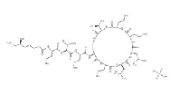 Colistin sulfate 1264-72-8 API antibiotics Promote growth of livestock and poultry prevent control infectious