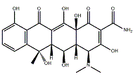 oxytetracycline 79-57-2 treat infections in dogs and cats